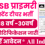 DSSSB Assistant Teacher Bharti 2025